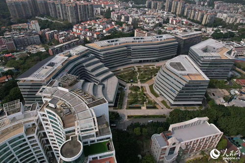 搭建平台 编制目录 厦门持续优化政策促进软件产业高质量发展