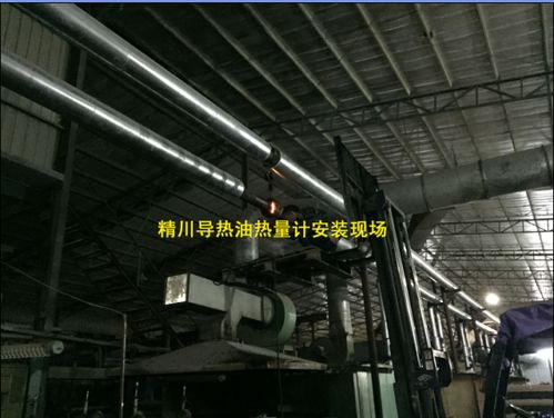 厦门精川导热油热量表经过层层考核被浙江纺织企业相中