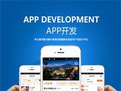 厦门软件开发