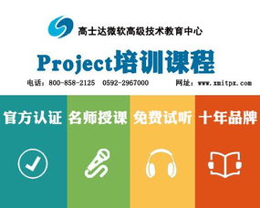 系统开发 excel数据分析