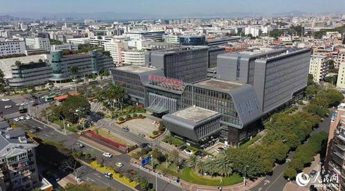 搭建平台 编制目录 厦门持续优化政策促进软件产业高质量发展