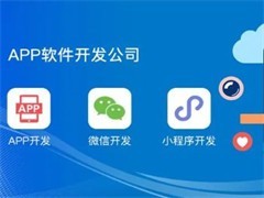 厦门系统软件开发