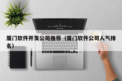 厦门软件开发公司推荐(厦门软件公司人气排名)