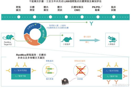 对标美国再生元拉升价值曲线 坐拥 千鼠万抗 百奥赛图中长期增长路径清晰