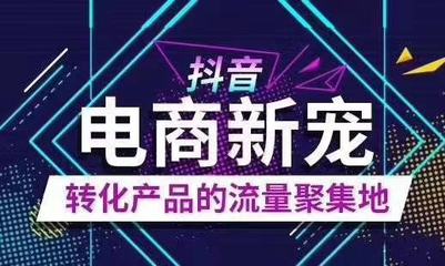 软件开发_信息系统集成服务_数据处理和存