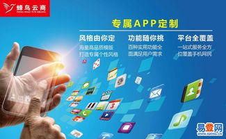 【厦门网站开发厦门软件开发定制外包公司】-漳州易登网