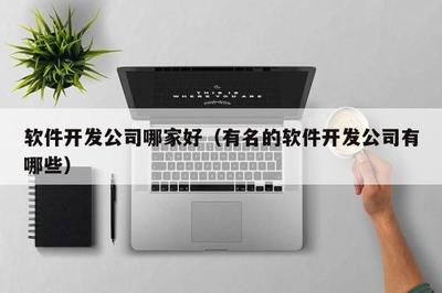 软件开发公司哪家好(有名的软件开发公司有哪些)